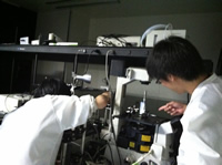 In Lab